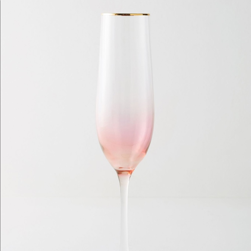 Anthropologie Champagne Flutes NWT